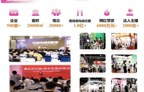 电子商务专业的网红