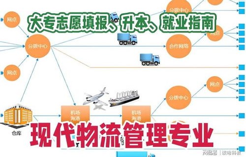 物流管理专业电子商务