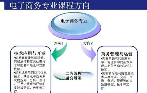 电子商务可以考的专业