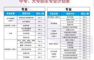 电子商务会计专业排名