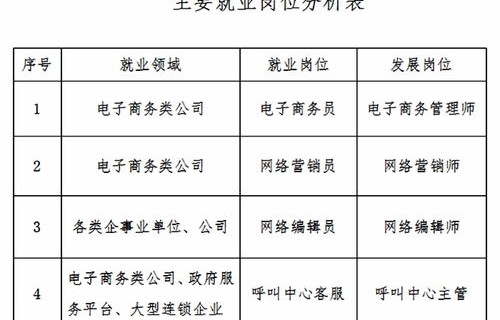 电子商务专业描述及特长