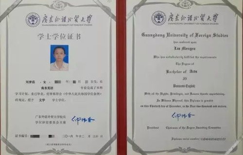 电子商务的大学专业证书