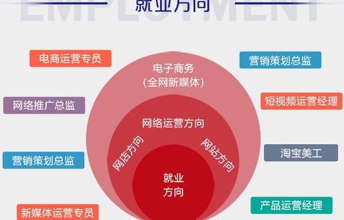 电子商务专业应如何就业