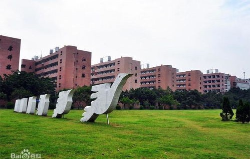 江门电子商务专业学校