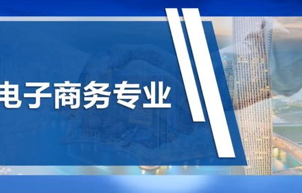电子商务专业技能表现