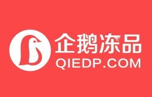 深圳乐淘淘电子商务专业
