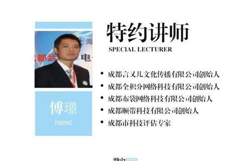 电子商务讲师的专业领域