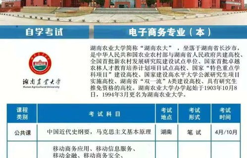 电子商务专业单招院校