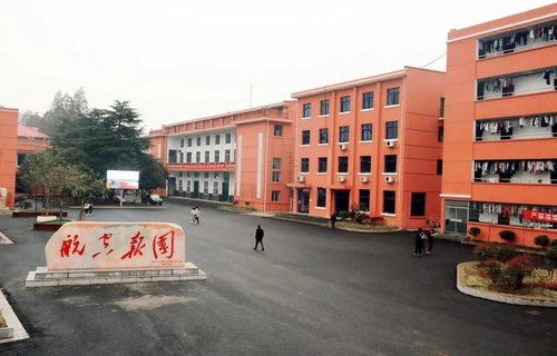 株洲有哪些电子商务专业