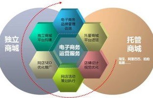 电子商务有哪些类型专业