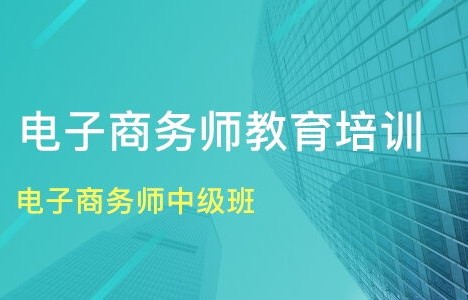 专业电子商务师价格