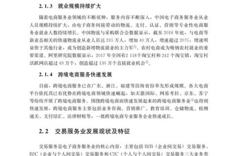 电子商务的专业报告