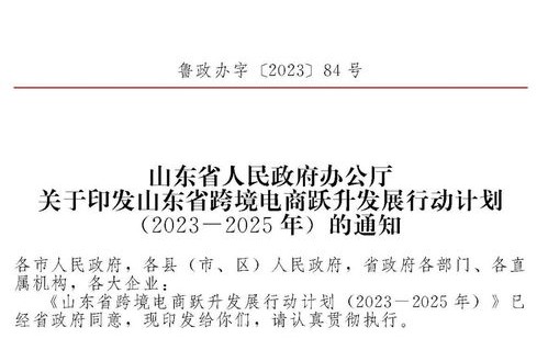 电子商务专业行动计划