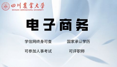 高起专专业电子商务