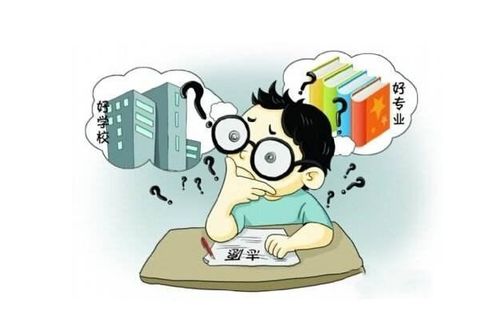 电子商务专业对口职责