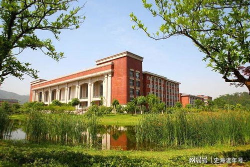 浙财东方电子商务专业