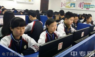 杨职电子商务专业咋样