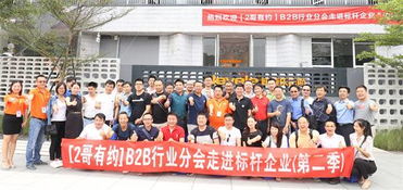 中国电子商务标杆专业
