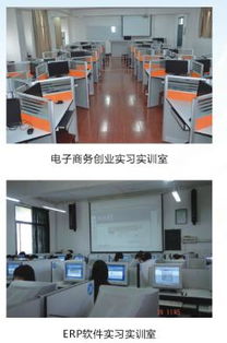 跨界电子商务专业好吗