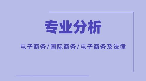 电子商务及法律专业6