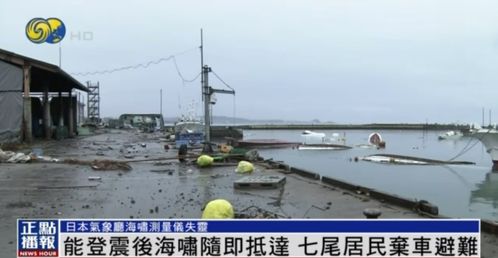 阿根廷近海发生7.4级地震，沿海地区紧急避险，专家预警潜在海啸风险