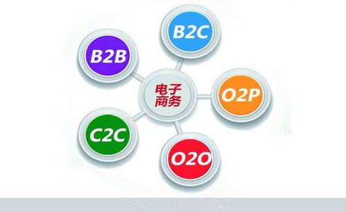 电子商务专业对头有哪些