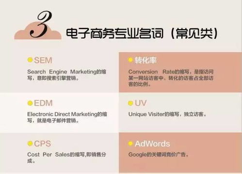 ?对电子商务专业的认识