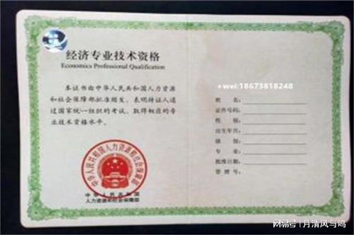 电子商务专业中级职称