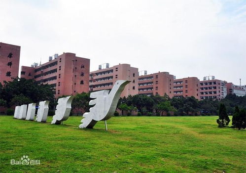 江门电子商务专业学校