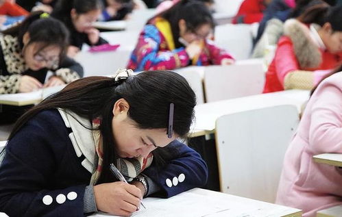 电子商务专业考编上岸