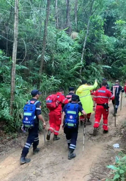 游客意外拍下8岁男童走失前画面