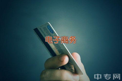 中专电子商务的专业代码
