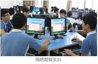 学电子商务是怎样的专业
