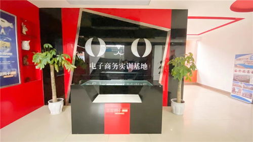 四川专业电子商务商城