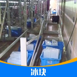 郑州制冰厂日销冰块300吨供不应求